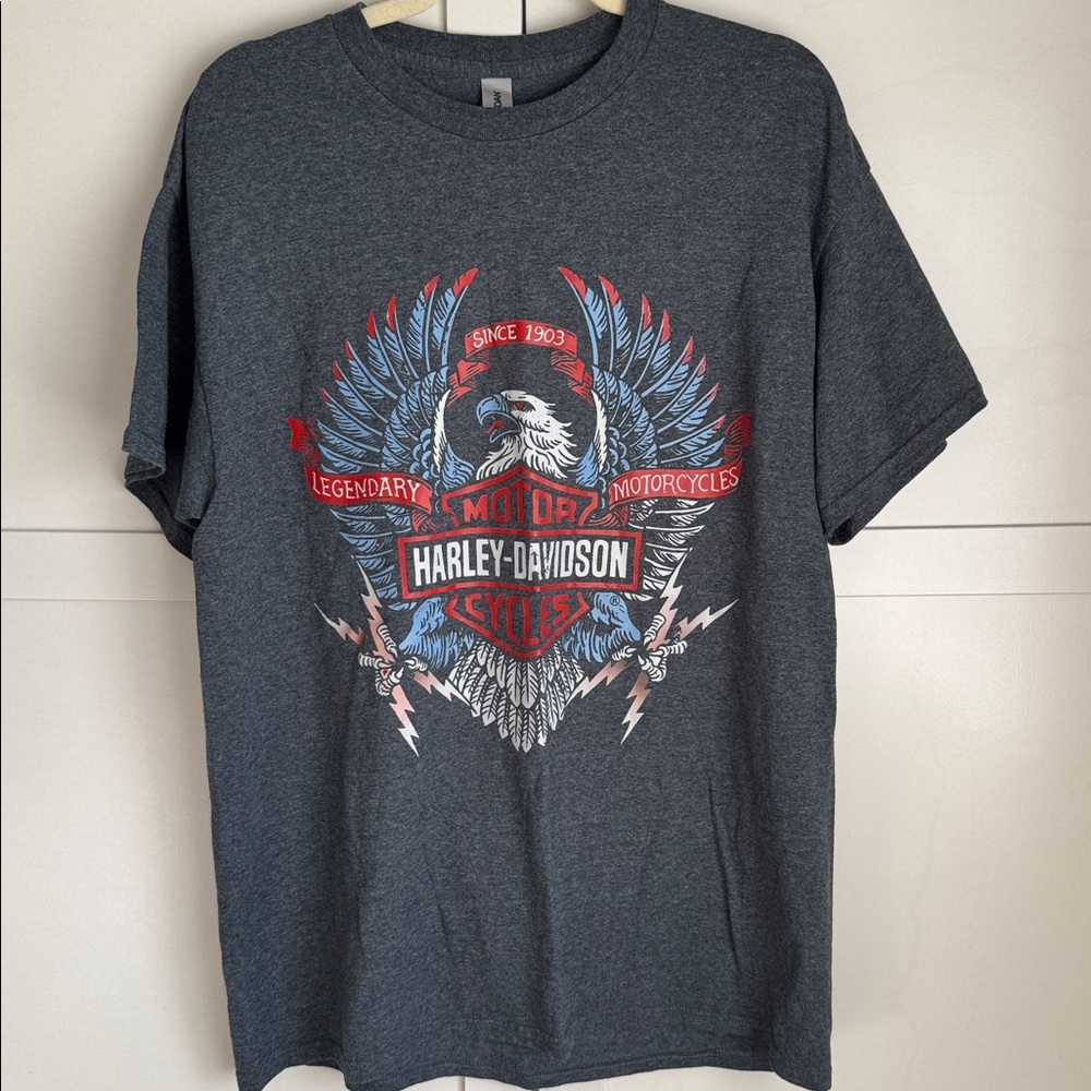 Harley-Davidson Dark Gray Eagle Graphic Tee w/ Red & Blue Accents only worn once